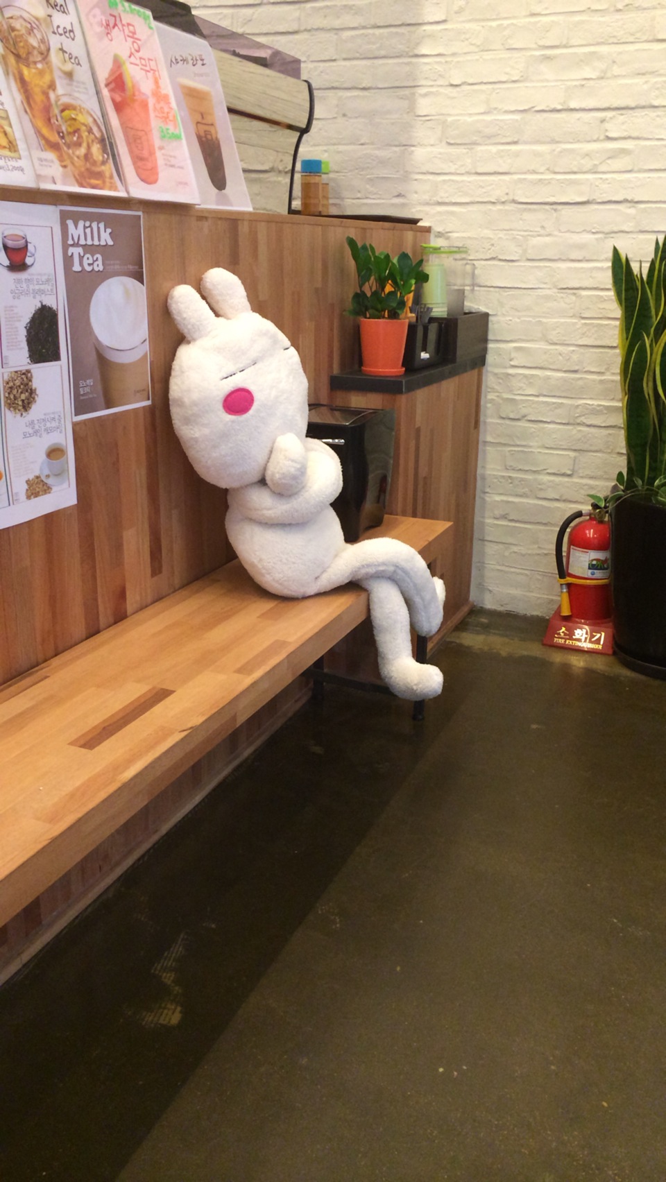 첨부 이미지